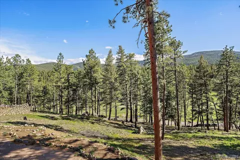 Other - 34 Normandy Rd, Evergreen, CO 80439 photo 10 of 15