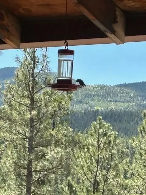 Exterior - 34 Normandy Rd, Evergreen, CO 80439 photo 7 of 7