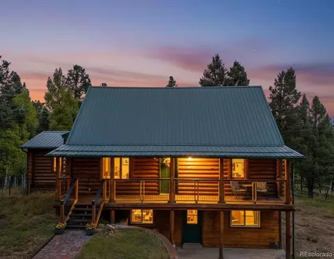 458 Spruce Lake Dr, Divide, CO 80814