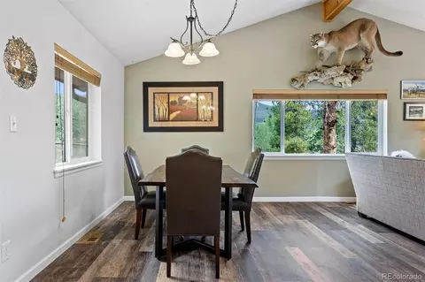 439 Aspen Dr, Bailey, CO 80421 photo 15