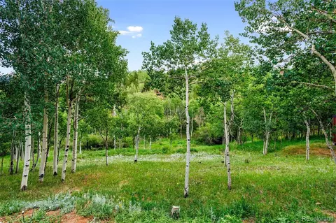 439 Aspen Dr, Bailey, CO 80421 photo 7