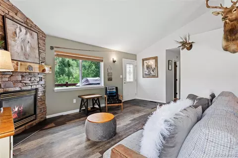 439 Aspen Dr, Bailey, CO 80421 photo 12