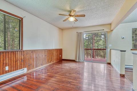 1307 Mount Evans Blvd, Pine, CO 80470 photo 10