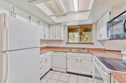 1307 Mount Evans Blvd, Pine, CO 80470 photo 11