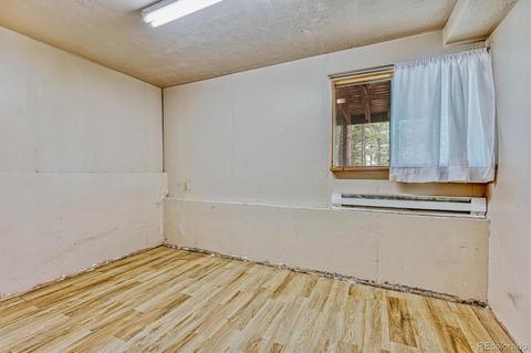 1307 Mount Evans Blvd, Pine, CO 80470 photo 23