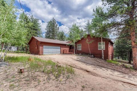 1307 Mount Evans Blvd, Pine, CO 80470 photo 4