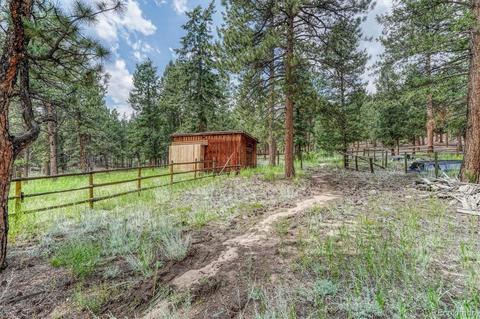 1307 Mount Evans Blvd, Pine, CO 80470 photo 29