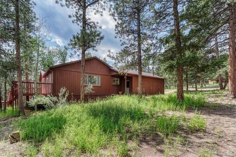 1307 Mount Evans Blvd, Pine, CO 80470 photo 3