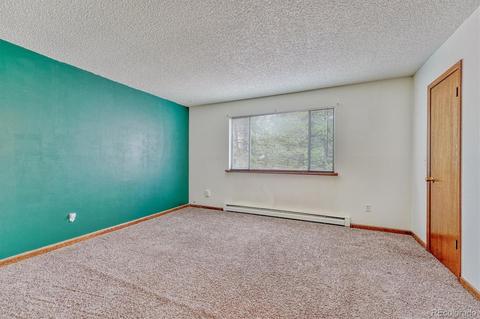 1307 Mount Evans Blvd, Pine, CO 80470 photo 15