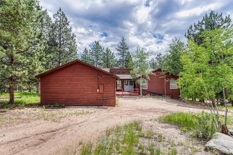 1307 Mount Evans Blvd, Pine, CO 80470 photo 2