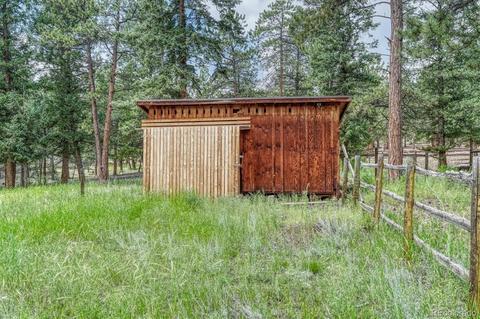 1307 Mount Evans Blvd, Pine, CO 80470 photo 28