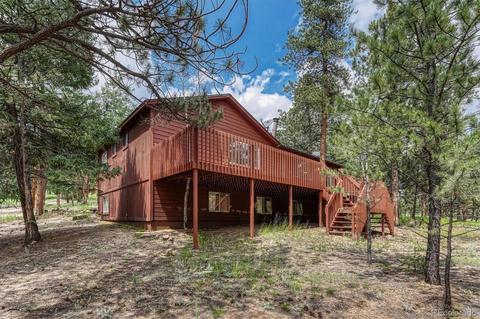 1307 Mount Evans Blvd, Pine, CO 80470 photo 1