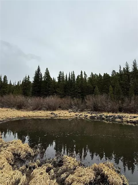 91 Lake Rd, Idaho Springs, CO 80452