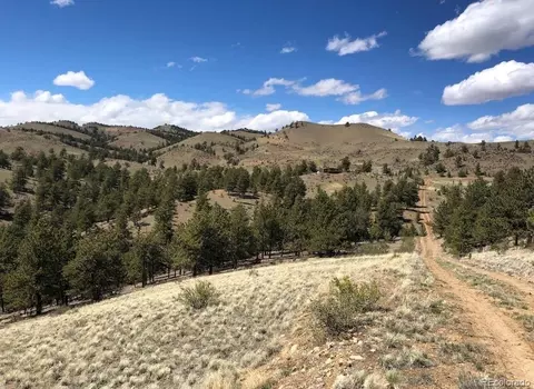 lot41 Willow St, Hartsel, CO 80449