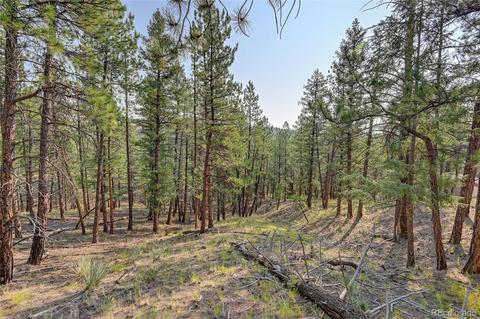 16369 Ouray Rd, Pine, CO 80470 photo 9