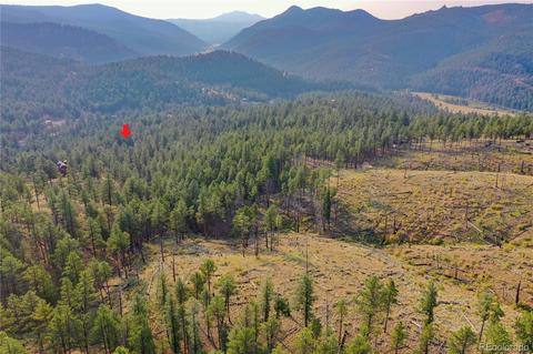 16369 Ouray Rd, Pine, CO 80470 photo 15