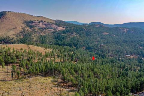 16369 Ouray Rd, Pine, CO 80470 photo 23