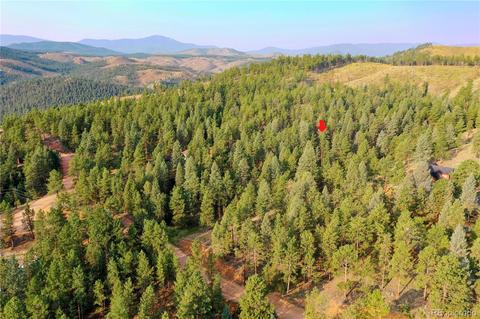 16369 Ouray Rd, Pine, CO 80470 photo 14