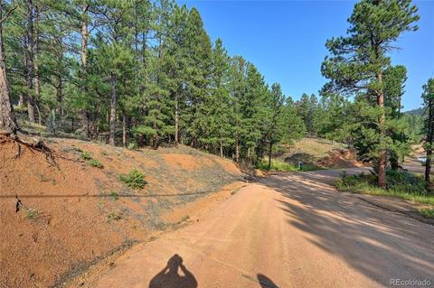 16369 Ouray Rd, Pine, CO 80470 photo 11