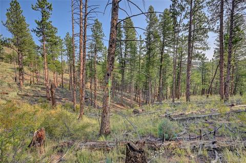 16369 Ouray Rd, Pine, CO 80470 photo 7