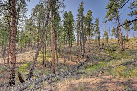 16369 Ouray Rd, Pine, CO 80470 photo 4