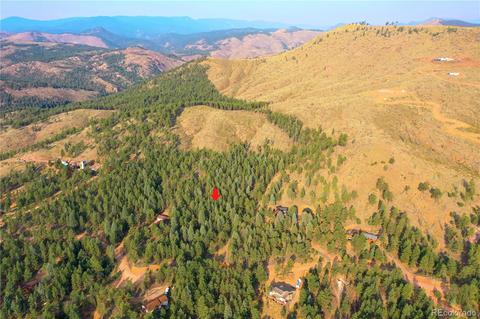 16369 Ouray Rd, Pine, CO 80470 photo 20