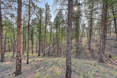 16369 Ouray Rd, Pine, CO 80470 photo 6