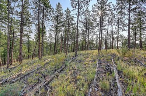 16369 Ouray Rd, Pine, CO 80470 photo 8