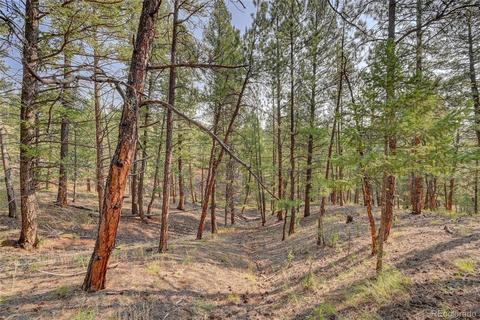 16369 Ouray Rd, Pine, CO 80470 photo 10