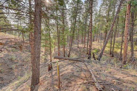 16369 Ouray Rd, Pine, CO 80470 photo 3