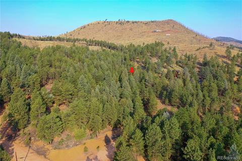 16369 Ouray Rd, Pine, CO 80470 photo 21