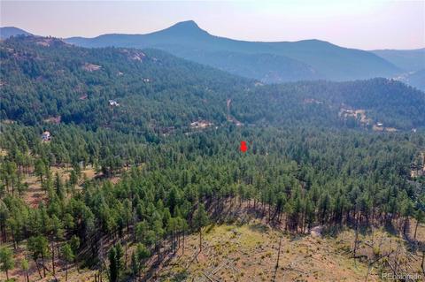 16369 Ouray Rd, Pine, CO 80470 photo 22