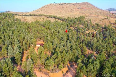 16369 Ouray Rd, Pine, CO 80470 photo 13