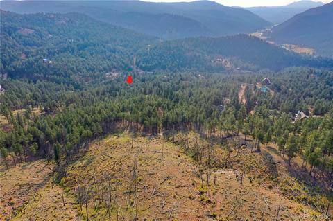 16369 Ouray Rd, Pine, CO 80470 photo 16