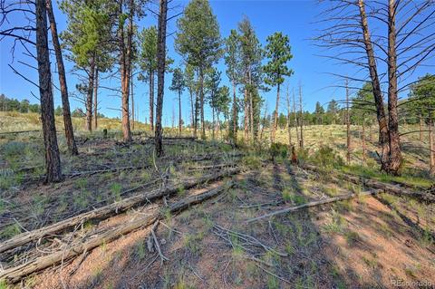 16369 Ouray Rd, Pine, CO 80470 photo 5
