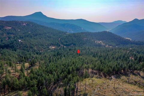 16369 Ouray Rd, Pine, CO 80470 photo 24