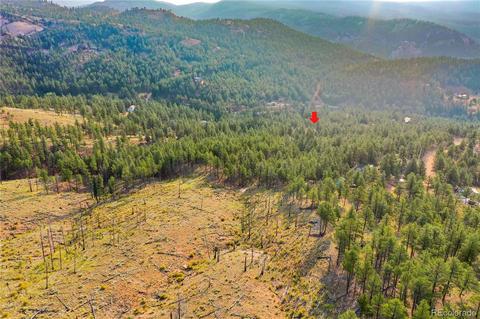16369 Ouray Rd, Pine, CO 80470 photo 17