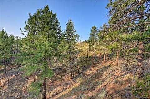 16369 Ouray Rd, Pine, CO 80470 photo 2