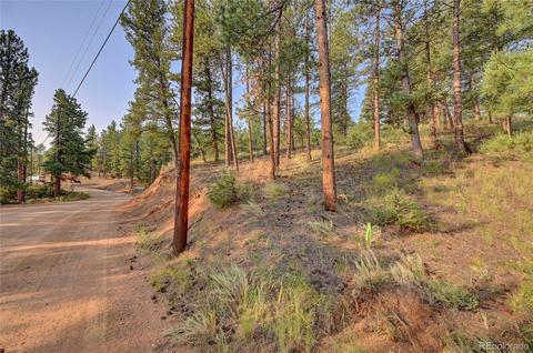 16369 Ouray Rd, Pine, CO 80470 photo 1