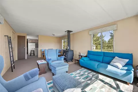 332 Valley Cir, Guffey, CO 80820 photo 11