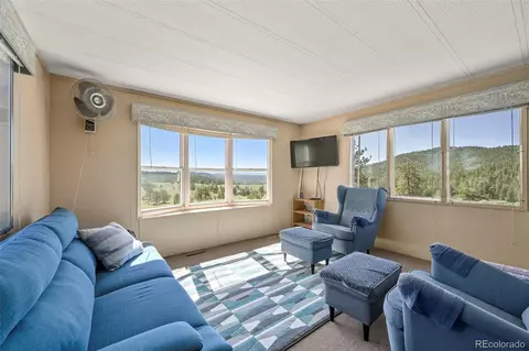 332 Valley Cir, Guffey, CO 80820 photo 10