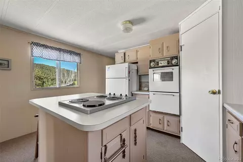 332 Valley Cir, Guffey, CO 80820 photo 18