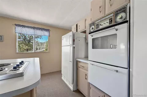 332 Valley Cir, Guffey, CO 80820 photo 19