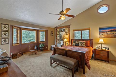 371 Summit Dr, Bailey, CO 80421 photo 12