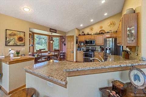 371 Summit Dr, Bailey, CO 80421 photo 9
