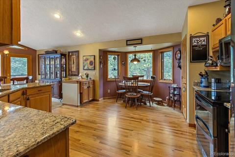 371 Summit Dr, Bailey, CO 80421 photo 10