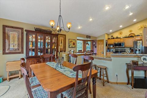 371 Summit Dr, Bailey, CO 80421 photo 7