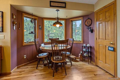 371 Summit Dr, Bailey, CO 80421 photo 11