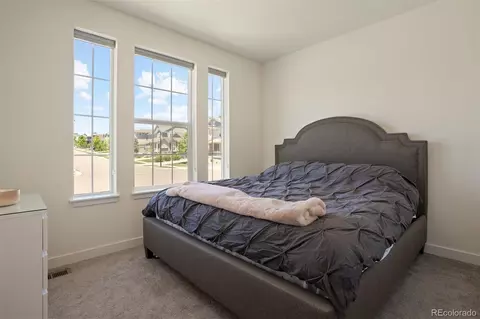 16144 Red Bud Loop, Parker, CO 80134 photo 9