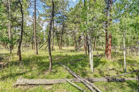 Stage Coach Lane, Bailey, CO 80421 photo 11